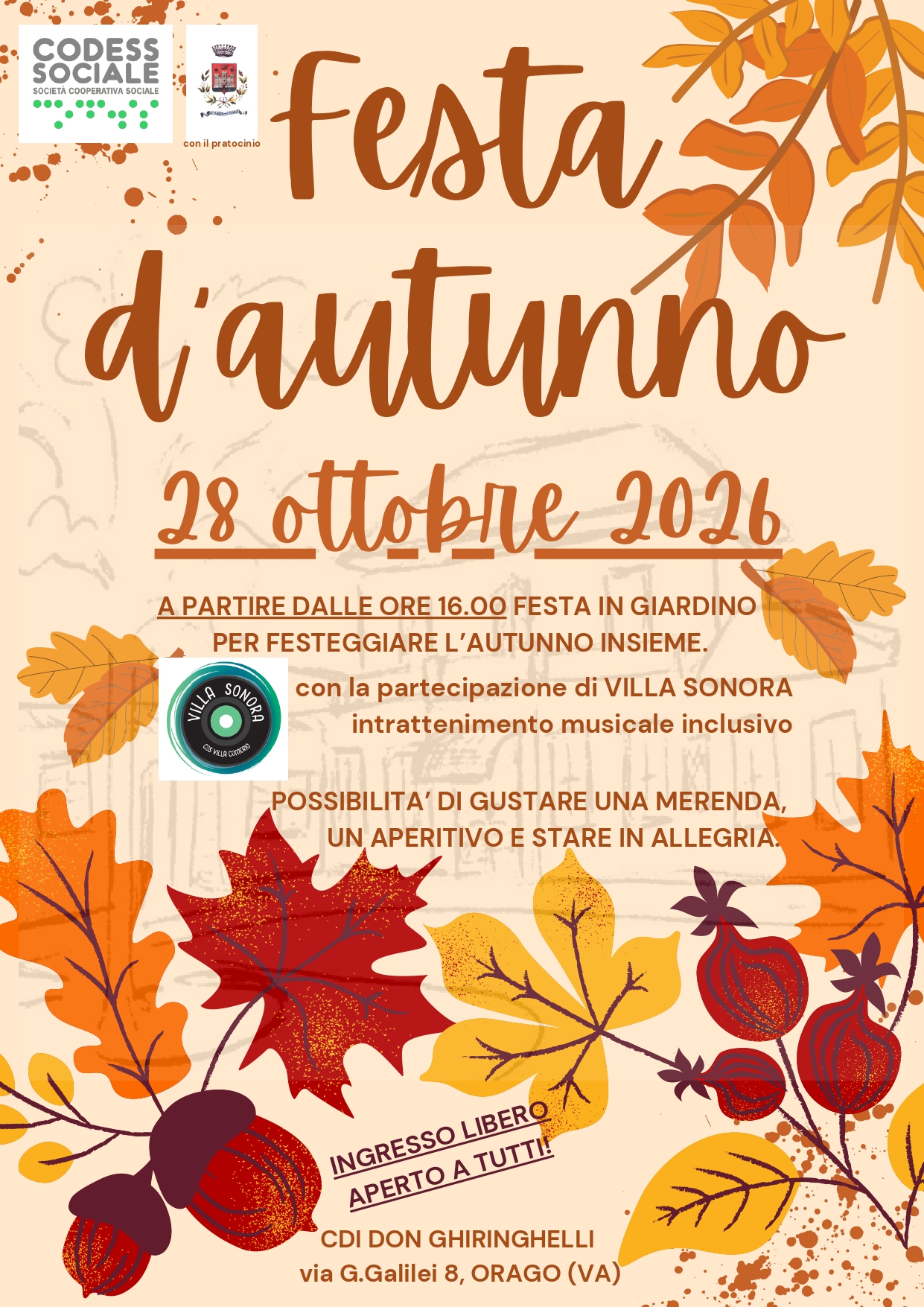 Immagine anteprima